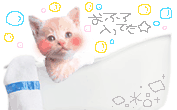 さっぽろ倶楽部のキャスト | の写真 さっぽろ倶楽部のキャスト | の写真
